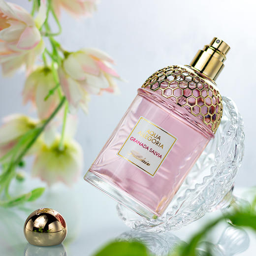 【花草水语系列】圆舞榴光 Granada Salvia 分装 商品图3