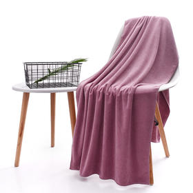 【净无痕系列】纳米拉巾，加长尺寸，多人协同整车擦拭