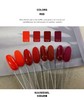 【秒杀价】24色红茶玫瑰 商品缩略图3