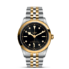 帝舵碧湾型41黄金钢款 | 帝舵表原厂机芯MT5601型（COSC）  钢表壳，直径41毫米  黄金及钢表带 商品缩略图1