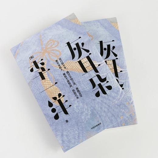 中信出版 | 灰耳朵 李一洋著 商品图2