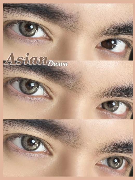 Chonos品牌日抛-Asian Brown 芭达棕（10片/盒） 商品图5