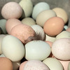团购丨博瑞生态园鸡蛋40枚丨79元哈市包邮丨下单次日发货 商品缩略图0