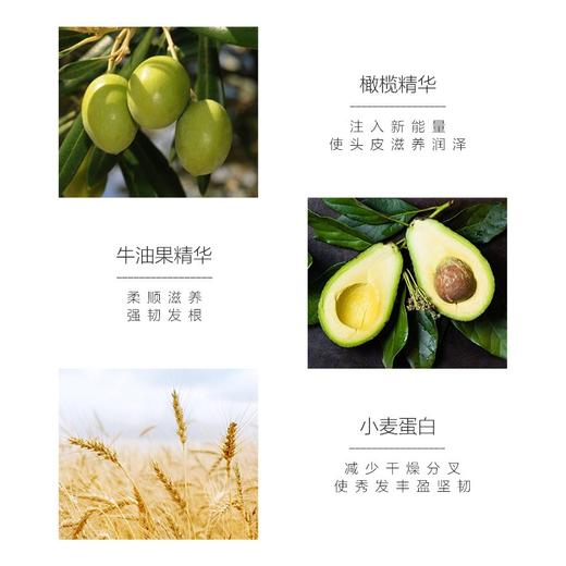 AEKYUNG爱敬KCS韩国进口丝滑蓬松香氛洗发水 600ml/瓶 商品图3