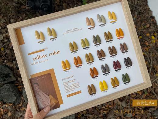 【秒杀价】24色姜黄色系 商品图5