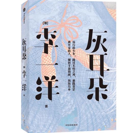 中信出版 | 灰耳朵 李一洋著 商品图0