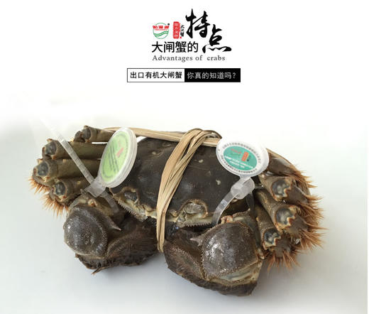 【礼券】阳澄湖牌大闸蟹668型春华秋实 3.0两公*4+2.0两母*4 商品图3