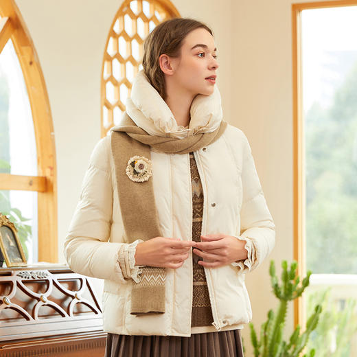 Famecoco范可儿羽绒服女短款立领小个子冬季纯色羽绒衣F228AJ007 商品图4