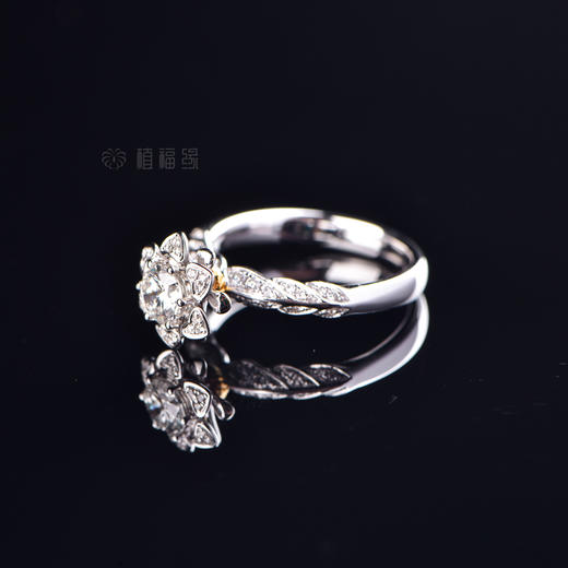 【聚爱】钻戒-JZ12201082 商品图2