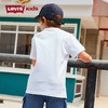 LEVIS 李维斯  夏 大童小童 短袖T恤 经典LOGO LVB-TE-C843 商品缩略图2