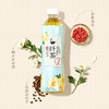 【臻实惠】元气森林纤茶   500ml*15 纸箱装  三种口味 商品缩略图8