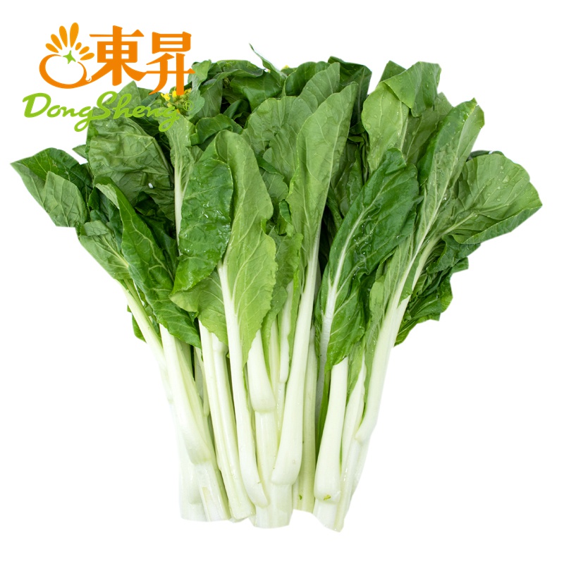 东升农场 秋香苔 白菜心 菜心新鲜 广东蔬菜300g