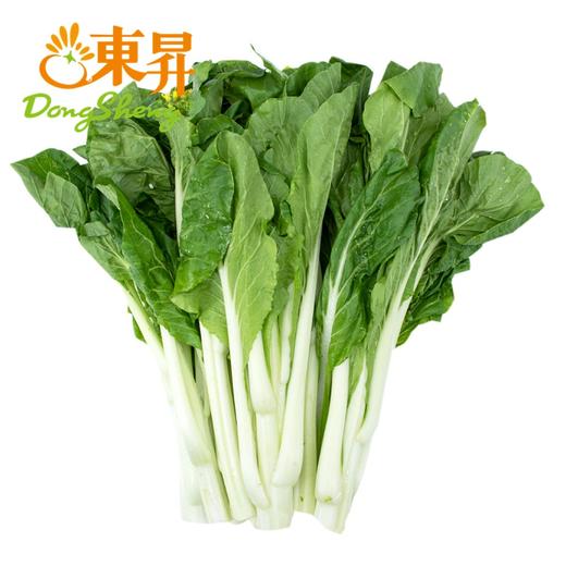 东升农场 秋香苔 白菜心 菜心新鲜 广东蔬菜300g 商品图0