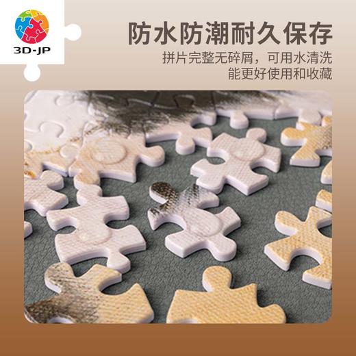 【折扣商品 不退不换】500片 平面拼图 塑料拼图H2802 John Silver-小淘气 商品图4