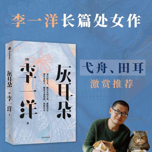 中信出版 | 灰耳朵 李一洋著 商品图1