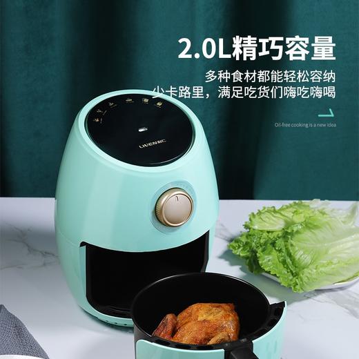 利仁（Liven）空气炸锅家用电炸锅2L煎炸锅薯条机LPKZ-28无油气炸锅airfryer 商品图1