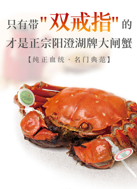 【礼券】阳澄湖牌大闸蟹1188型金榜题名 3.5两公*5+2.5两母*5 商品图4