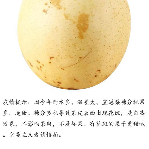 有机花皮皇冠梨 商品图9