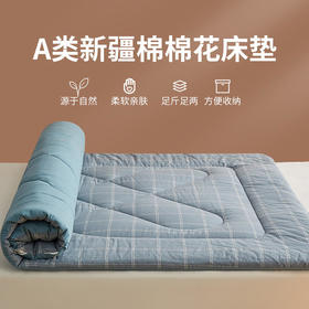 里外A类全棉色织棉花床垫加厚纯棉冬被全棉床褥子