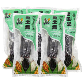 东北黑玉米 8根 独立包装