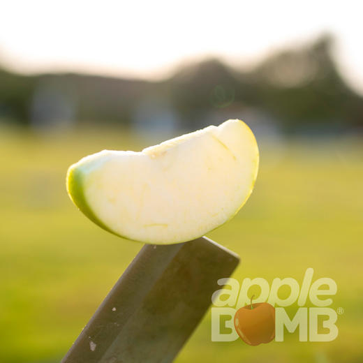 高原有机精品王林苹果 云南石林产  中通快递 商品图12