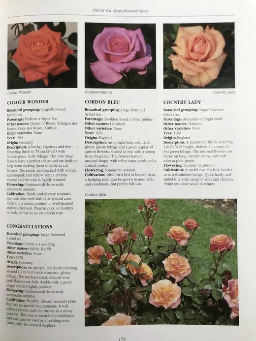 玫瑰图解百科全书（馆藏） 1000余幅彩色插图 精装大16开 商品图9