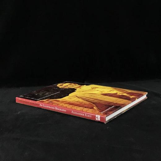 林肯图传 125幅插图 精装大16开 商品图1