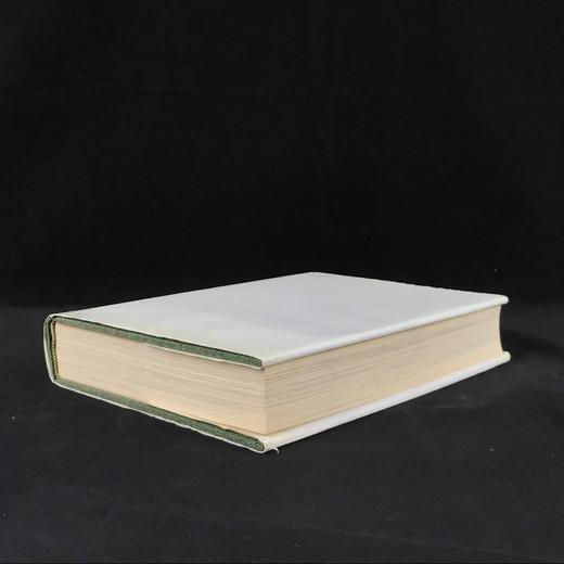 二十世纪美国艺术图集 988幅插图 精装16开 商品图2