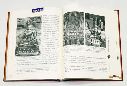 《中国藏地考古》，全10册一箱装，精装，小8开，四川大学中国藏学研究所编，天地出版社2014年版，定价6800，售价1058元。 商品图14