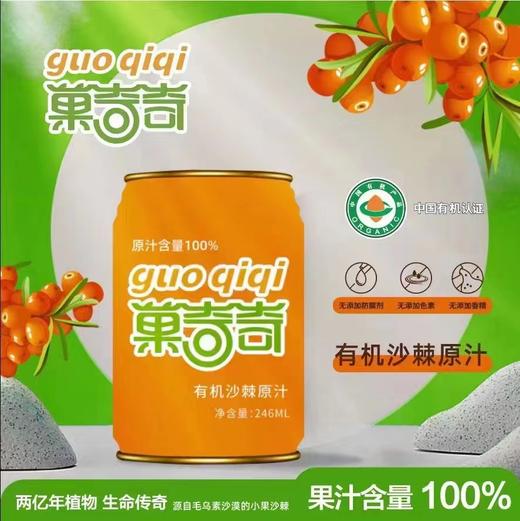 菓奇奇有机沙棘原汁 246ml/罐 商品图0