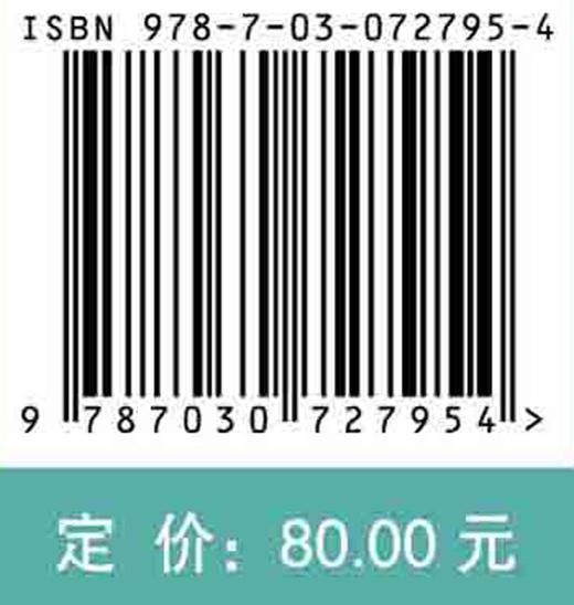 无人集群系统智能规划与协同控制技术 商品图2