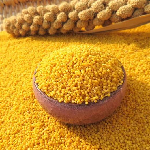 静宁县精装黄金米小米2.5kg 建议阴凉干燥通风 商品图1