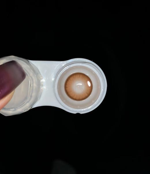 Sondercon品牌-S3brown极昼玫瑰 商品图5