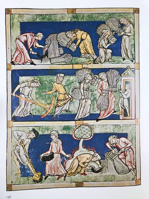 中世纪生活 数百幅插图 精装大16开 商品图10