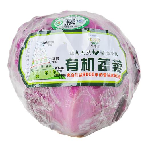 有机紫甘蓝 约500g/份 商品图4