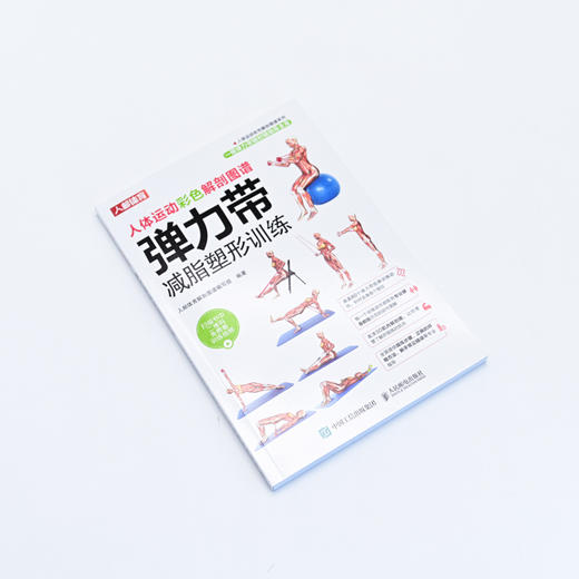 弹力带减脂塑形训练 健身训练书籍 健身减脂书籍 健美书籍 商品图4