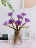 睡莲（四枝）蓝紫色/黄色颜色随机 商品缩略图0