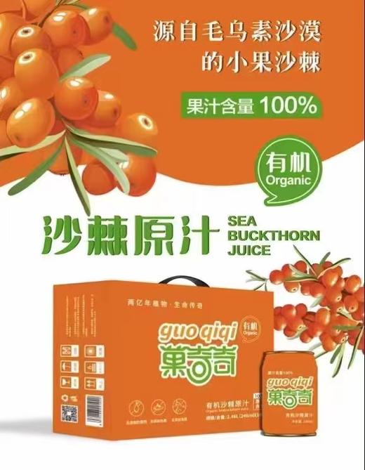 菓奇奇有机沙棘原汁 246ml/罐 商品图5