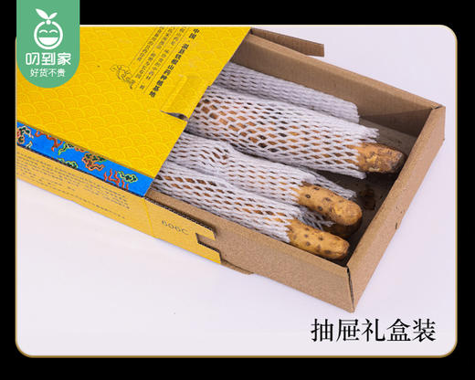 温县垆土铁棍山药（42-48cm）/1箱（2kg±100g） 商品图2