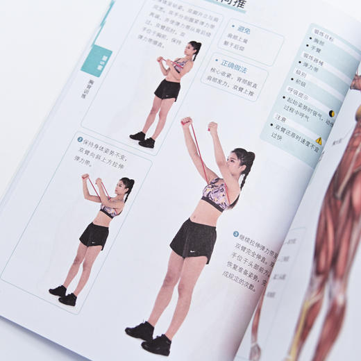 弹力带减脂塑形训练 健身训练书籍 健身减脂书籍 健美书籍 商品图3