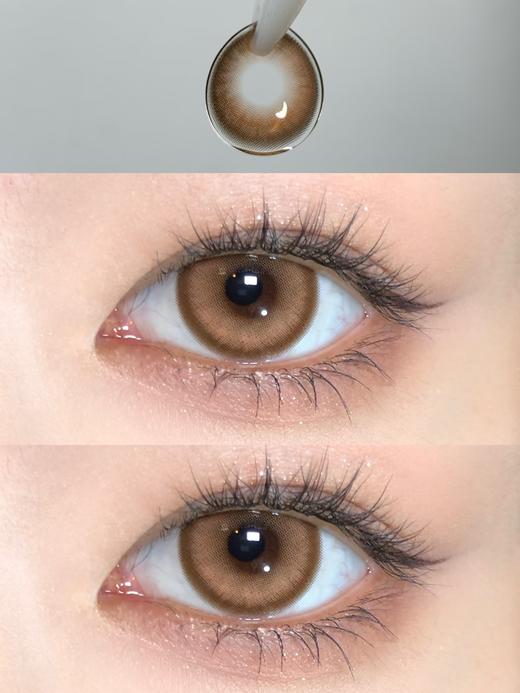 Sondercon品牌-S3brown极昼玫瑰 商品图4