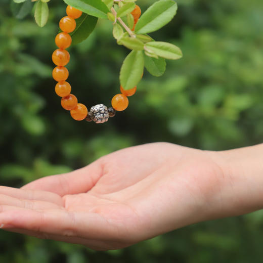 *自营*琥珀蜜蜡手串 | 朝夕法佑大号款式手链中式。药珀银血珀 商品图3