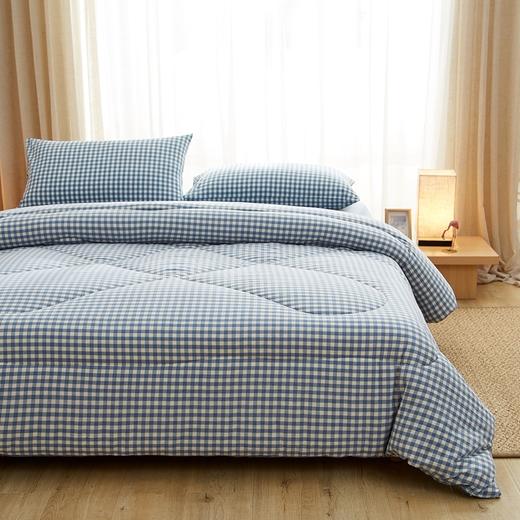 里外A类全棉色织棉花床垫加厚纯棉冬被全棉床褥子 商品图13