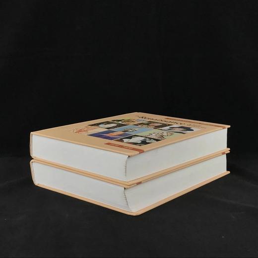 文艺复兴与现代早期名人列传：1454-1600（全2卷） 数百幅插图 精装16开 商品图1