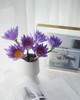 睡莲（四枝）蓝紫色/黄色颜色随机 商品缩略图3