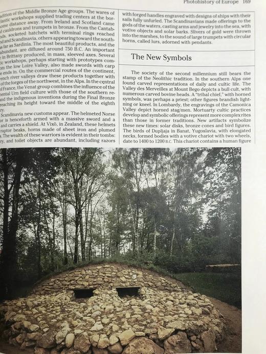 史前：早期人类的世界 150余幅彩色插图 精装大16开 商品图7