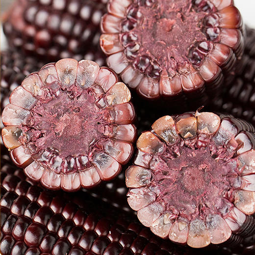 东北黑玉米 8根 独立包装 商品图4