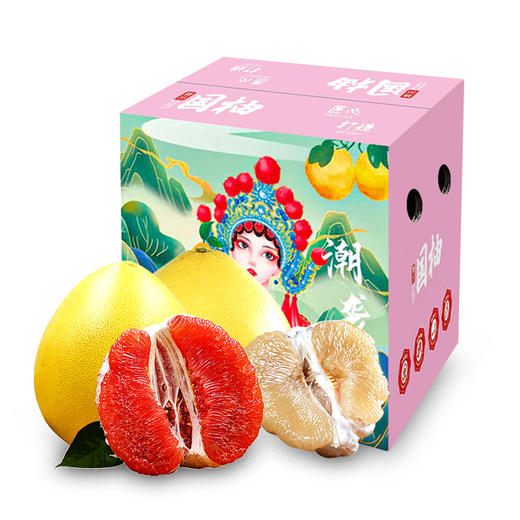 福建红心蜜柚1枚+白心蜜柚1枚 商品图0