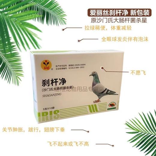 【沙杆净】新包装粉5g*10袋，沙门氏大肠杆菌（爱丽丝） 商品图0