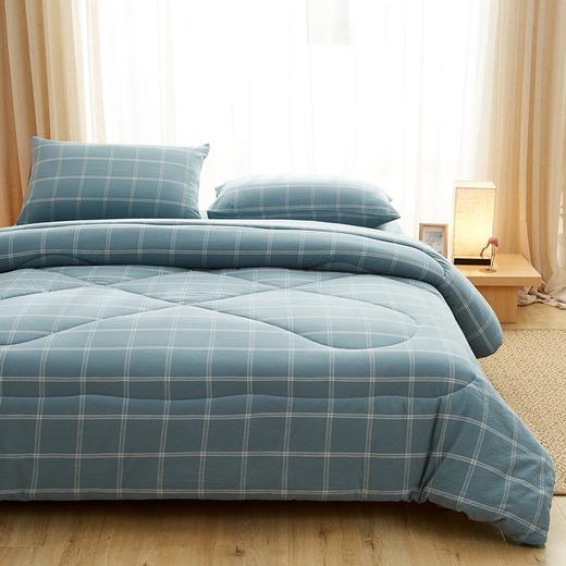 里外A类全棉色织棉花床垫加厚纯棉冬被全棉床褥子 商品图6